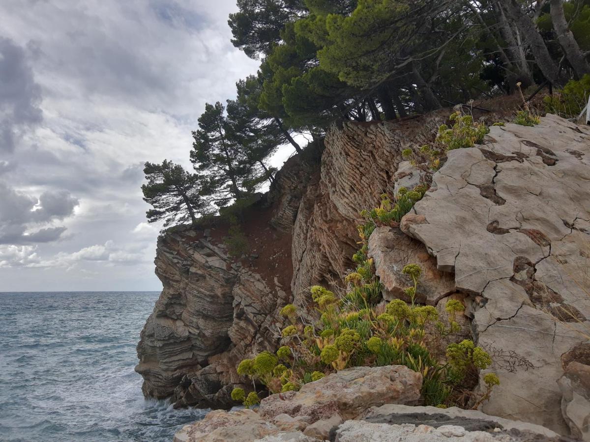 Sea-Side Old Stone Villa With A Private Garden Budva Eksteriør billede