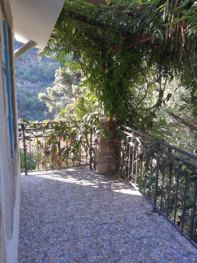 Sea-Side Old Stone Villa With A Private Garden Budva Eksteriør billede