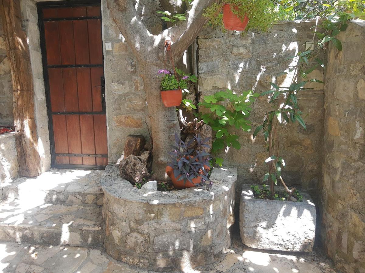 Sea-Side Old Stone Villa With A Private Garden Budva Eksteriør billede