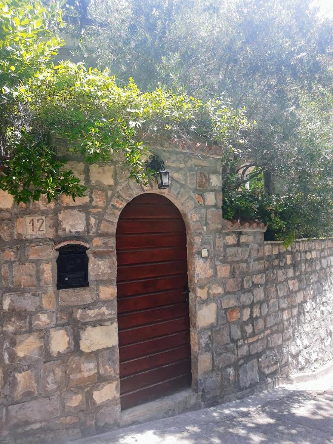 Sea-Side Old Stone Villa With A Private Garden Budva Eksteriør billede