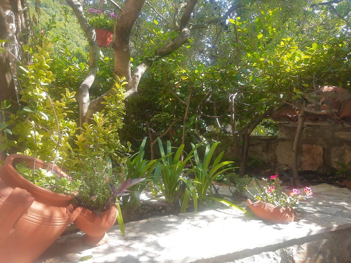 Sea-Side Old Stone Villa With A Private Garden Budva Eksteriør billede