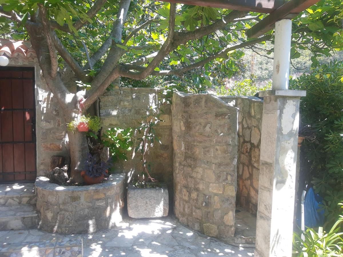 Sea-Side Old Stone Villa With A Private Garden Budva Eksteriør billede