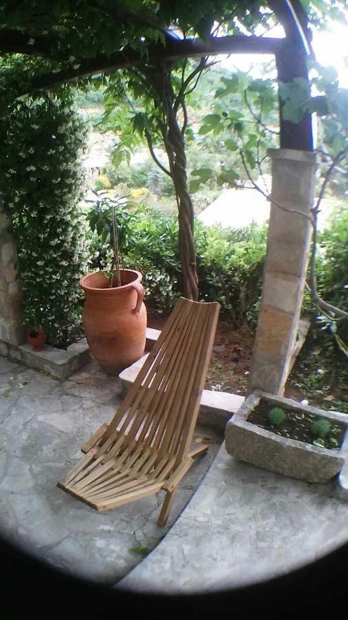 Sea-Side Old Stone Villa With A Private Garden Budva Eksteriør billede
